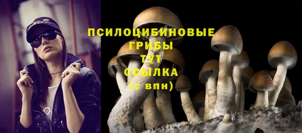 ПСИЛОЦИБИНОВЫЕ ГРИБЫ Надым