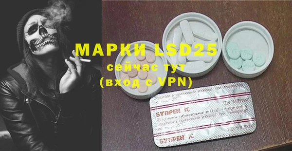ПСИЛОЦИБИНОВЫЕ ГРИБЫ Надым