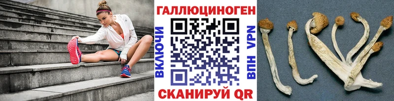 сколько стоит  Моздок  hydra ССЫЛКА  Галлюциногенные грибы Psilocybine cubensis 
